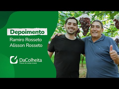 Por que a Excelência Fruit escolheu a DaColheita para transportar suas Uvas? – Fonte: Termotécnica