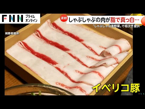 ほぼ脂身…しゃぶしゃぶ温野菜のイベリコ豚が物議　運営会社「本来提供から除くもの」