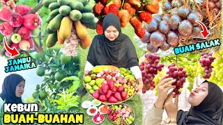 Kebun Buah-buahan | Rujak buah segar