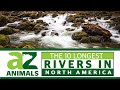 Rivers and Their Characteristics