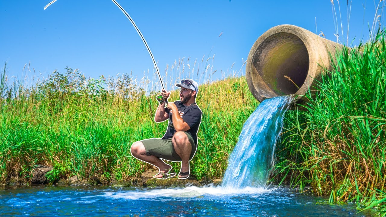HIDDEN SPILLWAY was LOADED with FISH (Unexpected)