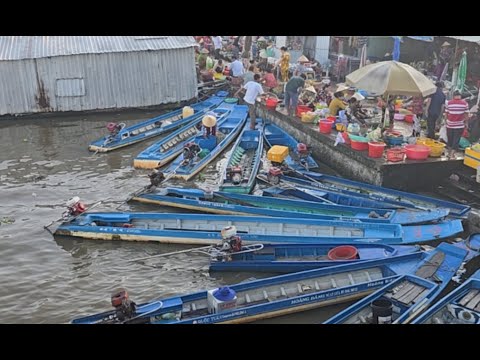 Nhộn nhịp mùa nước nổi