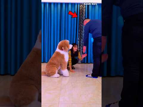 यह आदमी तो रावण से भी तेज निकला 😂 #facts #funny #comedy #trendingshorts @Power96.