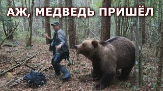 Аааа... ПЕРВЫЙ РАЗ ЗА 10 ЛЕТ НАШЁЛ ЕЁ!!! Даже медведь танцевал!