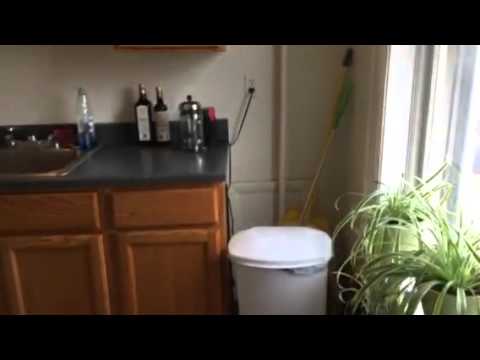 Apartment Video
