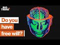 Understanding Free Will and Consciousness