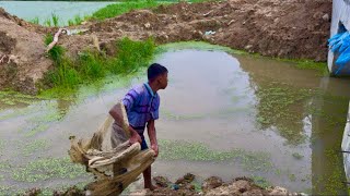 Net Fishing In Canal 