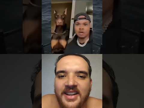 O DOG PREVIU O QUE IA ACONTECER E METEU O PÉ😂😍