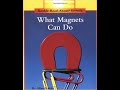 Magnetism and Electromagnetism Concepts
