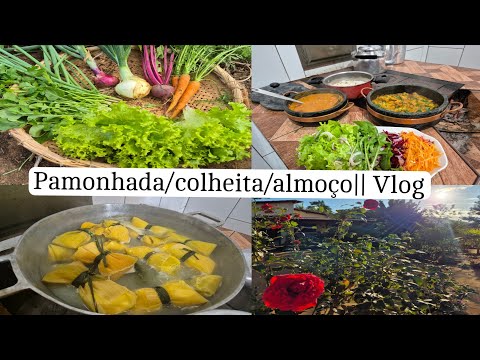 As delícias do dia feitas no fogão a lenha ♡  colhendo na horta/ rotina da roça