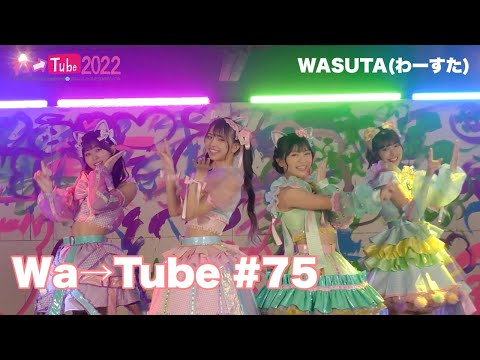 [Wa Tube] WASUTA WATUBE 75 (Wa→Tube 75)