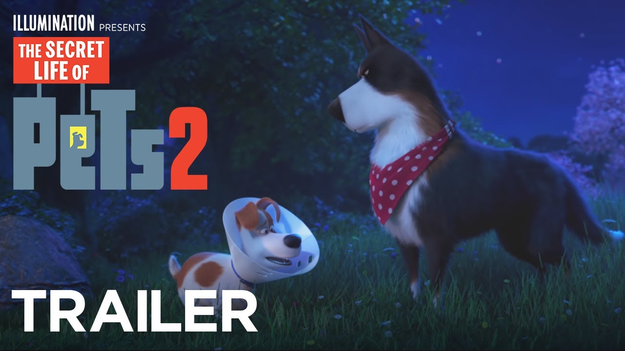 The Secret Life of Pets 2 Trailer thumbnail