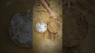 Mixing Salt in Soil #shorts #devkeexperiment