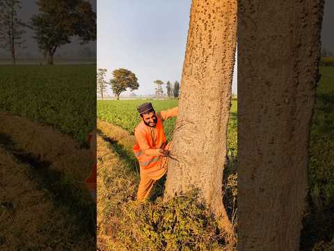 ওগো মা 🥲🥲#sorts #ytshort #sort #নবীজী #নবিজীর #নবীজির #নবীজির_গজল #islamic #chanal #yt