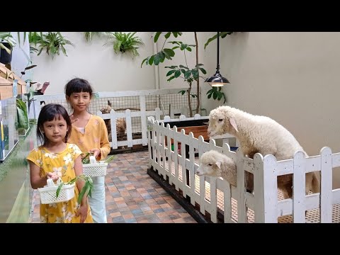 LIBURAN SERU 🥳 MENGINAP DI HOTEL YANG ADA MINI ZOO| KASIH MAKAN DOMBA