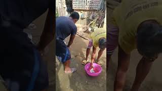 Funny video compilation
