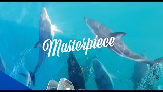 New Zealand Trails | Masterpiece