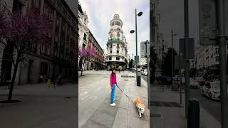 🇪🇸 Madri
