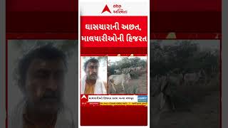 KUTCH | કચ્છમાં પાણી, ઘાસચારાની અછત ,માલધારીઓ હિજરત કરવા બન્યા મજબૂર