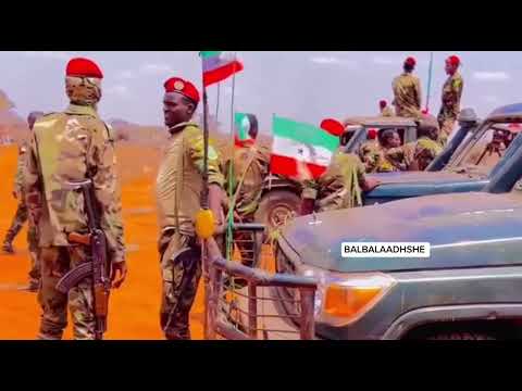 Ciidamada Qaranka Somaliland ee jidaha hore ee Qorilugud iyaguna wa diyaar