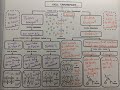 Cell Transport Mechanisms