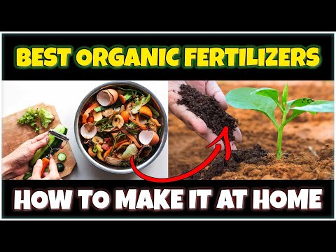 How to Make ORGANIC FERTILIZER for Plants at Home