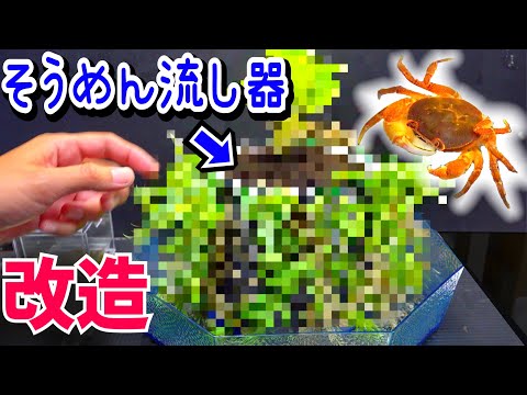 カニを飼うために流しそうめん器を改造する！