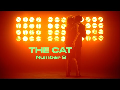 The Cat - Number 9