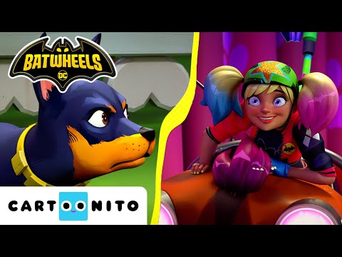 Harley Quinn Vs Ace the Bat-Dog! | Batwheels | @cartoonito