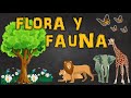 Fauna y Flora: Conceptos Clave