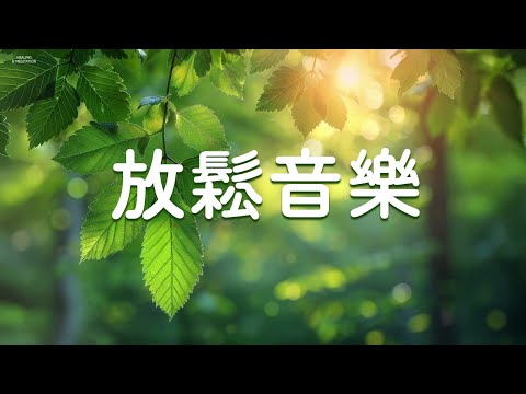 森林深處寧靜優美的音樂 - 放鬆品茶自習用背景音樂 - 治療音樂, 輕音樂 無廣告, 深度睡眠, 放鬆音樂