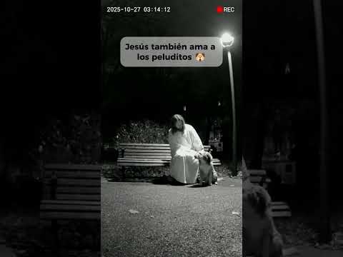 Jesús también ama a los perritos 🐶 jesus #dios #amén #bendiciones #jesusteama #amordedios #perritos