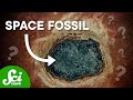 Fossil Meteorites and Earth's History