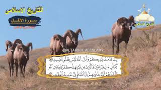القرأن الكريم بصوت عذب جميل 24 ساعة دون انقطاع