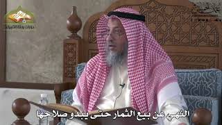 636 - النهي عن بيع الثمار حتى يبدو صلاحها - عثمان الخميس