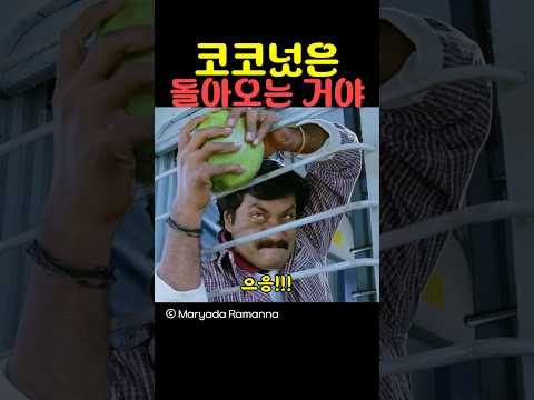 코코넛은 돌아오는 거야!