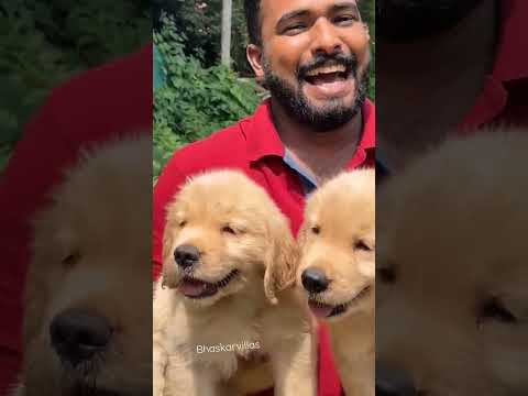 കണ്ണൂരുകാർക് ഒരു പണി വരുന്നുണ്ട് 😂😂