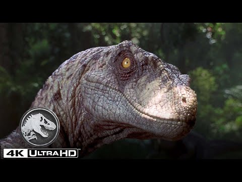 名シーン特集 |『ジュラシック・ワールド』「ヴェロキラトプルの選りすぐり場面集(4K HDR）
