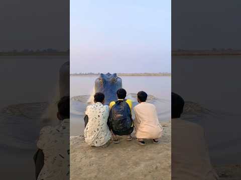 Ye kiya hora hai🤣wait #funny #viral #foryou #foryoupage #funnyvideos