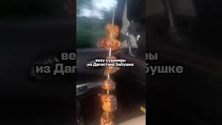 Как думаете, ей понравится? #путешествия #юмор