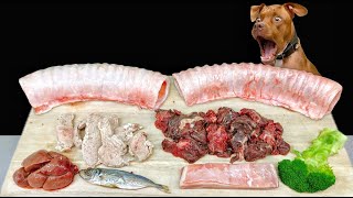 BEST DOG ASMR MUKBANG PITBULL EATING RAW FOODS