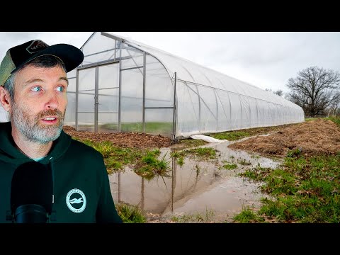 Starting Tomatoes from Seed + My State is Flooded (again)