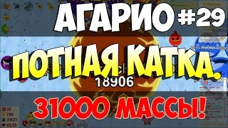 Агарио: Голодные игры│Потная катка!│  SB#29