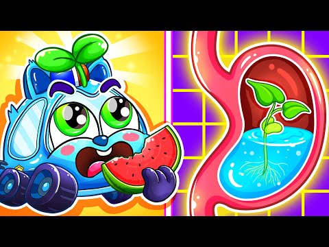 Watermelon is Growing in My Tummy Song + More Nursery Rhymes by Baby Cars & Friends