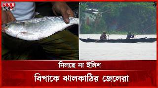 ভরা মৌসুমেও ঝালকাঠির সুগন্ধা ও বিষখালী নদীতে নেই কাঙ্ক্ষিত রুপালী ইলিশ | Ilish | Jhalokathi News