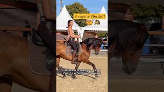 Ich habe 8 eigene Pferde 🐴✨ Vorstellungsrunde Teil 1