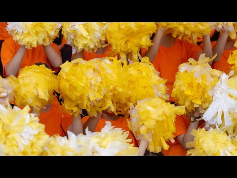 新宝島 - サカナクション（フル）