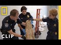 Investigation of Cultural Significance