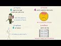 Significado de Términos Comunes
