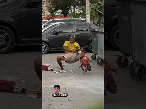 La cucaracha gigante 🪳🪳😱😱 #viral #humor #tendencias